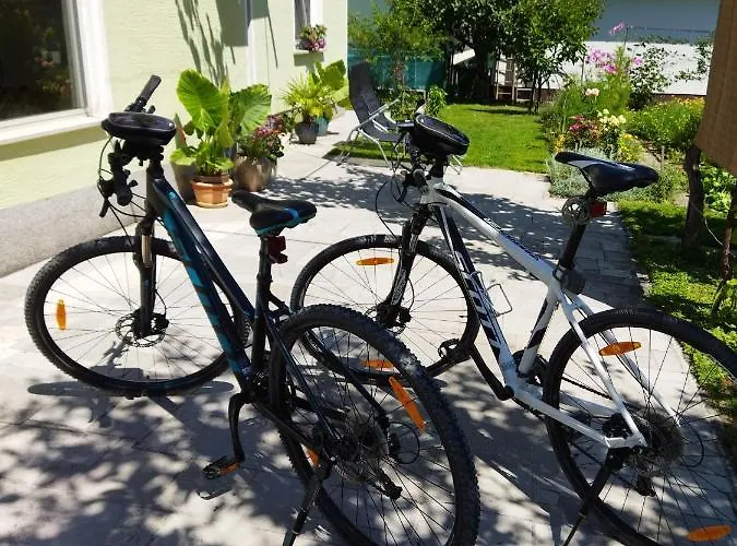 Daire Apartma Jerman - Cerknica